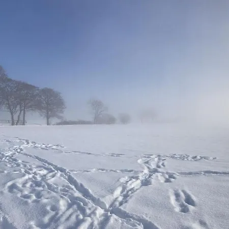 Summit Happiness At The Purple Beech * Bad Harzburg