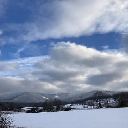 Summit Happiness At The Purple Beech * Bad Harzburg