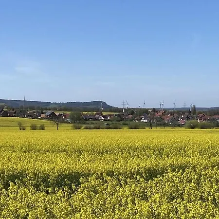 Summit Happiness At The Purple Beech Bad Harzburg