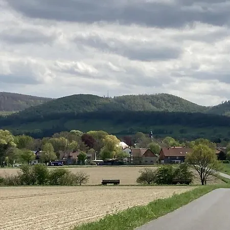 Summit Happiness At The Purple Beech * Bad Harzburg